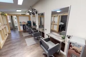 Passion of Hair by Vanessa Hirsch