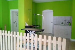 Pfiffi Chic Hundesalon