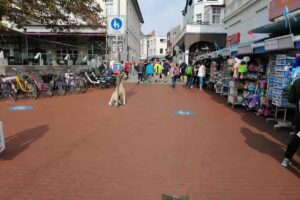 Pralle Friseurteam Inh. Jens Pralle, Friseurmeister Friseurteam