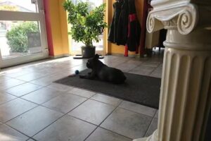 Ralf&rsquo;s Haarstudio