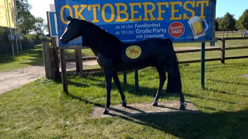 Reitsportfachgesch&auml;ft Inh. Dassow E.