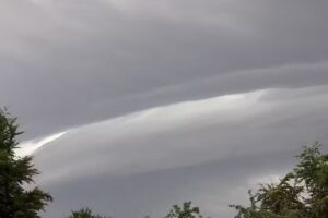 Roswitha Levermann Hundesalon Strolchi