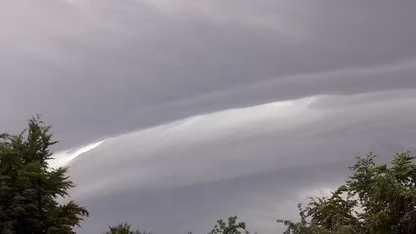 Roswitha Levermann Hundesalon Strolchi