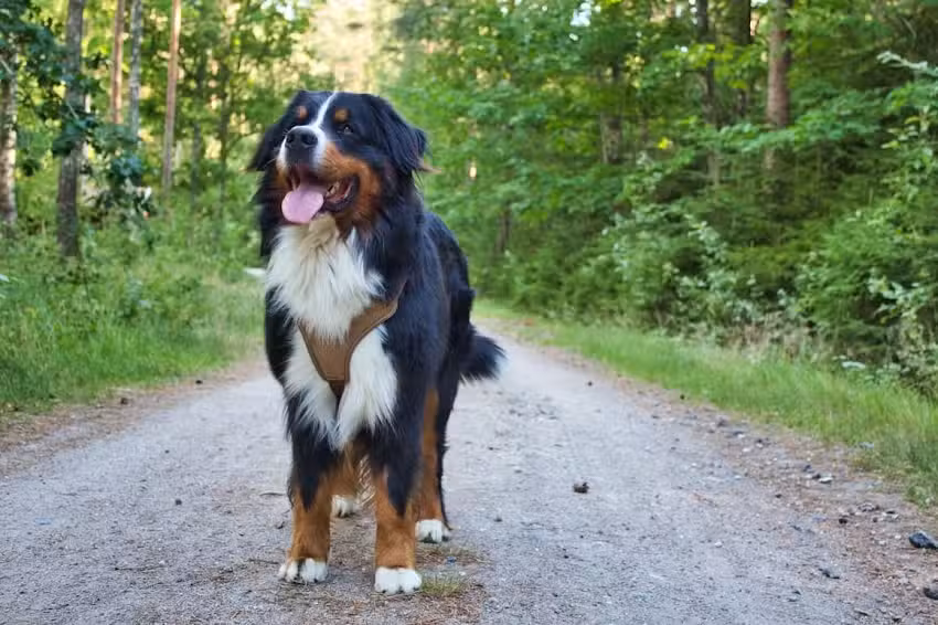 SALON BELL(A)SCH&Ouml;N