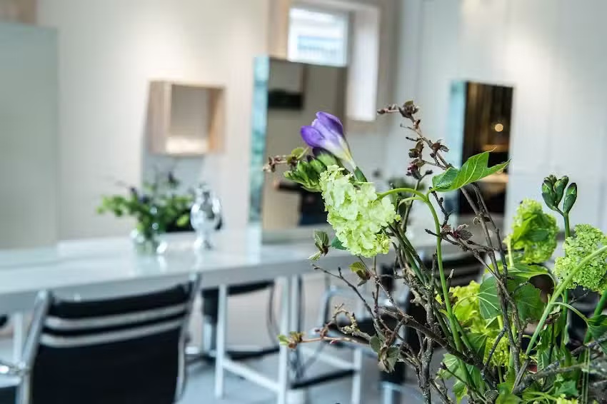 Salon Edina
