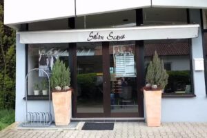 Salon Scanu