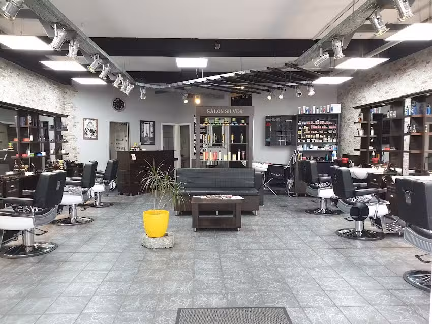 Salon Silver