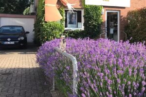 Salon Struwwelpeter Inh.Hess Willi