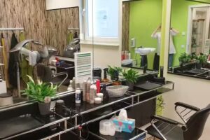 Salon Well-Kamm im KKM