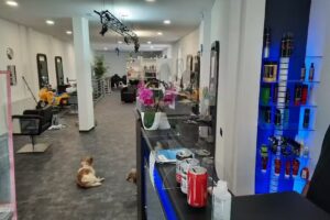 SCHARK&rsquo;s HAIRLOUNGE