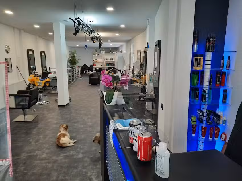 SCHARK&rsquo;s HAIRLOUNGE