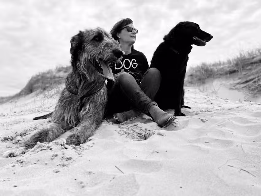 ScherBezirk Hundefriseur