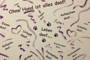 Sitz-Platz-Schnitt Hundesalon