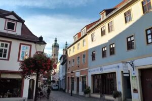 Sperber Fris&ouml;re