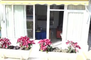 Steffis Friseurstübchen