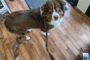 Tiersalon Sandras Naturwelt