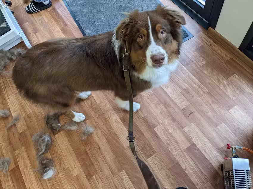 Tiersalon Sandras Naturwelt