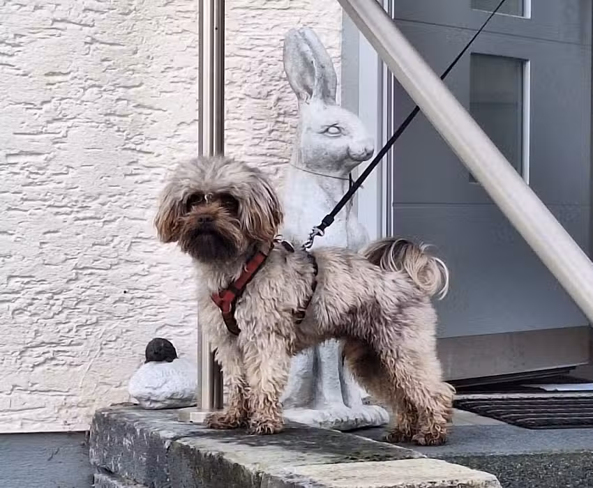 Tucker&rsquo;s Schnittstelle