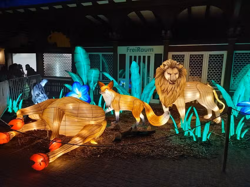 Wencke Werner Kopfg&auml;rtner