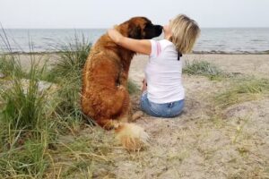 WIFF! Gesundheit und Fellpflege