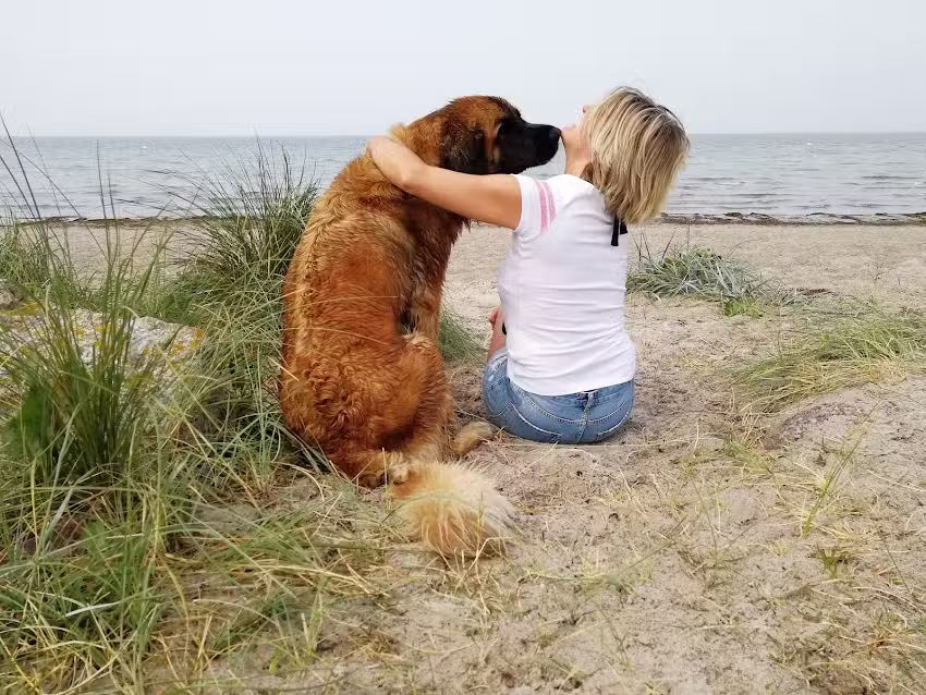 WIFF! Gesundheit und Fellpflege