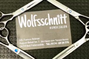 Wolfsschnitt Hundefriseur / Hundesalon