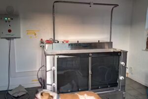 Zamperlstyle Hundefriseur und Dog-move® Hundephysiotherapeuten