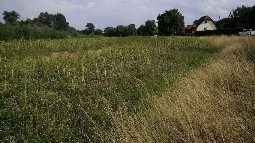 Zosel H. u. Grohmann Silvana GbR